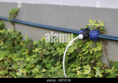 Anschlusspunkte für automatische Bewässerungsanlagen. Stockfoto