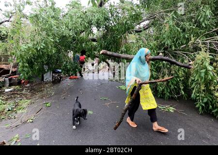 Kalkutta, Indien. Mai 2020. Nach dem verheerenden Superkyklon „Amphan“ sind in Westbengalen laut Landesregierung mindestens 80 Menschen gestorben. Mindestens 5000 Bäume entwurzelt in Kalkutta, Indien am 21. Mai 2020 und 2500 Bäume im Salzsee. Mobile, Internet-Konnektivität und Wasser & Stromversorgung nach dem Abendessen Zyklon behindert. NDRF/Polizei/Katastrophenmanagement Team arbeitet zusammen, um die Stadt wieder aufzubauen. PM Modi wird heute den Ministerpräsidenten besuchen und treffen. (Foto von Sudipta Pan/Pacific Press/Sipa USA) Quelle: SIPA USA/Alamy Live News Stockfoto