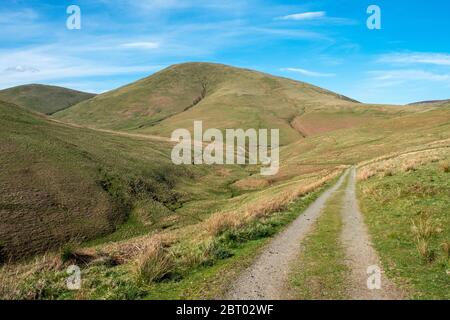 Carewoodig bei Langholm mit Blick auf Tudhope Hügel in den schottischen Grenzen. Stockfoto