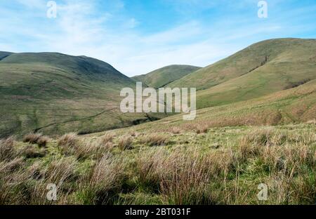 Carewoodig bei Langholm mit Blick auf Tudhope Hügel in den schottischen Grenzen. Stockfoto