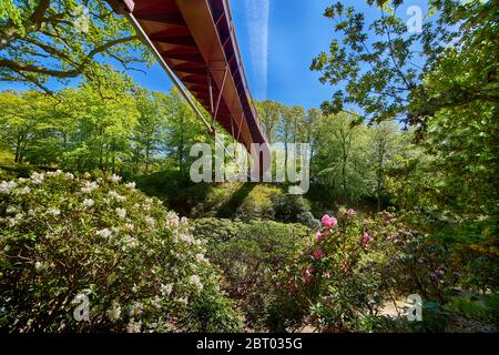 Sofia Brücke über Rhododendron Tal im Sofiero Royal Castle Park in Helsingborg, Schweden. Stockfoto