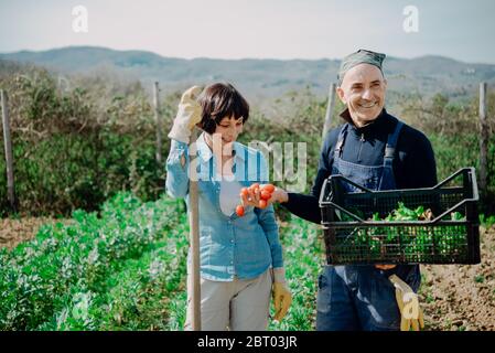 Lächelnde Frau und Mann stehen im Gemüsegarten, halten Kunststoff schaffen mit frisch gepflückten Gemüse Stockfoto