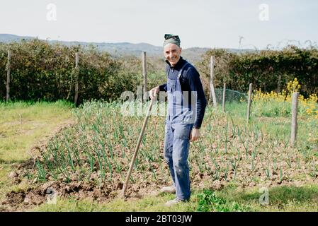 Lächelnder Mann mit Latzhose und Bandana, der im Gemüsegarten steht und Holzstange hält. Stockfoto