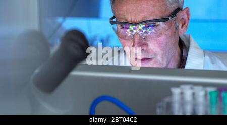 Wissenschaftler, die eine 3D-Molekülstruktur auf dem Bildschirm verwenden und das potenzielle Covid-19-Medikament im Labor erforschen. Medizinische und klinische Studien. Stockfoto