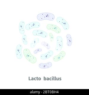 Lactobacillus probiotics auf weiß Stock Vektor