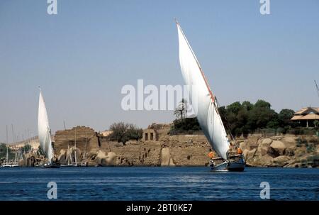 Felucca traditionelles hölzernes Segelboot auf dem Nil in Ägypten, Afrika Stockfoto