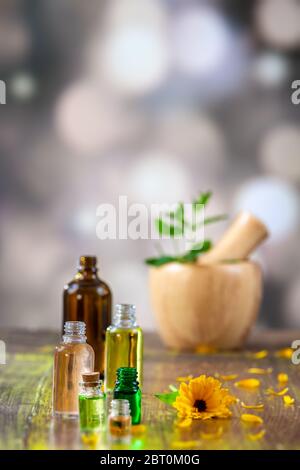 Konzept der Calendula officinalis oder Ringelblume Blume und ätherisches Öl und Tinktur für Schönheit Behandlung. Stockfoto