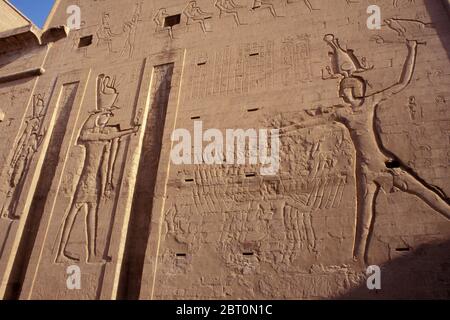 Tempel der Edfu Schnitzereien am Westufer des Nils in Edfu, Ägypten, Nordafrika Stockfoto