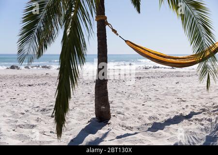 Herrlicher Blick auf einen Strand mit einer Palme und einer Hängematte, die daran gebunden ist Stockfoto