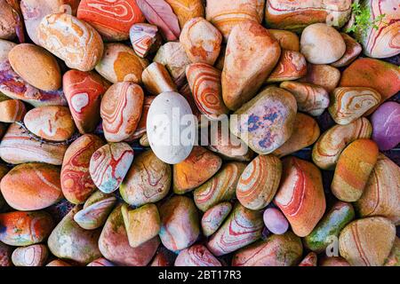 Bunte Steine Textur auf dem Garten Stockfoto