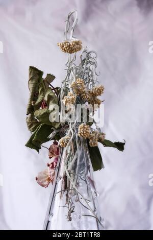 Stillleben einer ausgetrockneten Rose und einer herabhängenden Salbeiblume Stockfoto