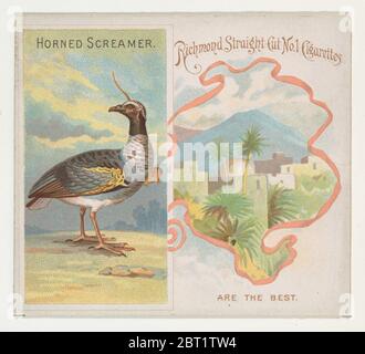 Horned Screamer, aus der Birds of the Tropics Serie (N38) für Allen & amp; Ginter Zigaretten, 1889. Stockfoto