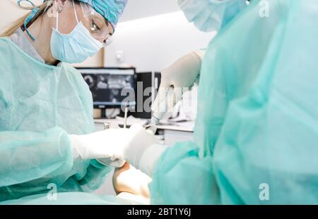 Von oben Ernte professionelle Zahnärzte in Latexhandschuhe mit sauberen Werkzeugen, um orale Verfahren an nicht erkennbaren Patienten in der modernen Klinik durchzuführen Stockfoto
