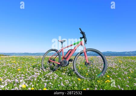 Fahrrad in einer bunten Frühlingswiese mit gelben Löwenzahn und weißen Kuckucksuden. Blauer Himmel Hintergrund Stockfoto