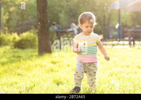 Kindheit, Natur, Sommer, Parks und im Freien Konzept - Porträt von niedlichen blonden kleinen Jungen in gestreiften mehrfarbigen T-Shirt mit Löwenzahn in Stockfoto