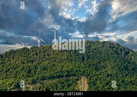 Windturbine und Wald auf einem Hügel. Stockfoto