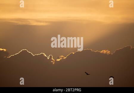 Wimbledon, London, Großbritannien. 22 Mai 2020. Nach einem schönen Tag mit warmem und stürmischen Wind leuchtet die Sonne eine Wolkendecke und beleuchtet die obere Kante. Quelle: Malcolm Park/Alamy Live News. Stockfoto