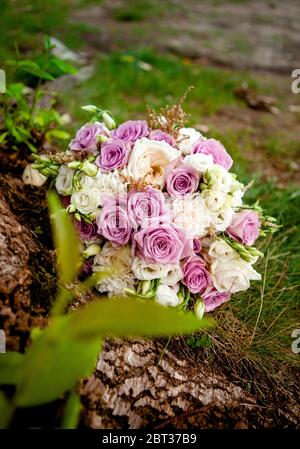 Hochzeitsstrauß in violetten und weißen Tönen von Rosen und Eustoma Stockfoto