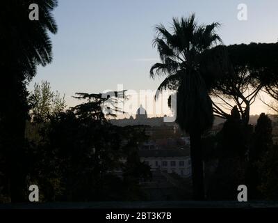 Das Petersdom in Rom mit Palmen und Bäumen Stockfoto