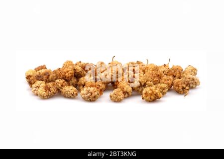 Frisch und Bio getrocknete Maulbeere auf weißem Hintergrund Stockfoto