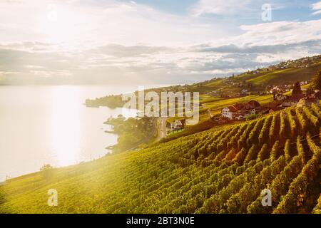 Lavaux, Schweiz: Genfersee und die Schweizer Alpen Landschaft von Lavaux Weinberg Tarraces bei Sonnenuntergang, Kanton Waadt Stockfoto