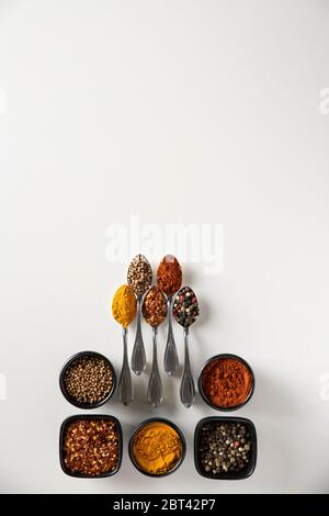 Curry, Red Dry Chilis, Paprika, Mischung aus Paprika und Koriander in kleinen Löffeln und in Schüsseln Stockfoto