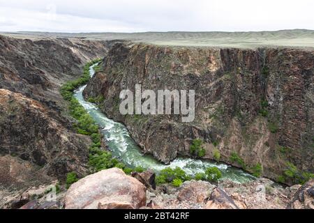 Charyn River Canyon im Frühling Stockfoto