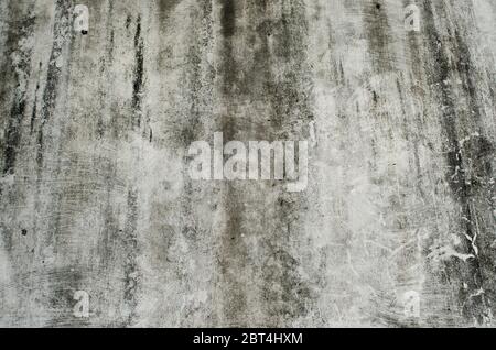 Alte graue Betonwand bedeckt Pilz Stockfoto