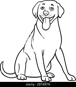 Schwarz / Weiß Cartoon Illustration lustig Labrador Retriever Hund für Malbuch Stockfoto