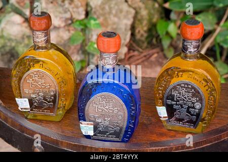 Tequila Flaschen auf Cozumel Island, Quintana Roo, Mexiko Stockfoto