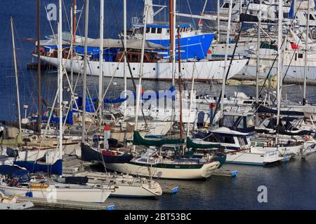 Jachthafen, Ensenada, Baja California, Mexiko Stockfoto