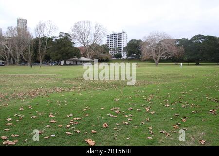 Sydney, Australien. Mai 2020. Rushcutters Bay Park. Bild: Richard Milnes/Alamy Stockfoto