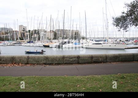 Sydney, Australien. Mai 2020. Rushcutters Bay Park. Bild: Richard Milnes/Alamy Stockfoto