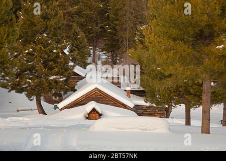 MT00509-00....MONTANA - Historische alte Blockhütten während der Wintermonate in der verlassenen Bergbaustadt Garnett erhalten. Stockfoto