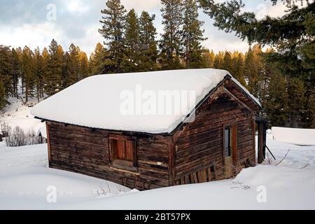 MT00511-00....MONTANA - Gebäude in der alten Bergbaustadt Garnet erhalten. Stockfoto