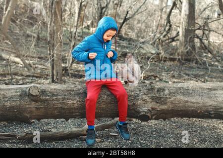 Cute kaukasischen Jungen Fütterung graues Eichhörnchen im Park. Entzückendes kleines Kind, das Futternüsse an wilde Tiere im Wald gibt. Kind lernen, die wilde Natur zu studieren Stockfoto