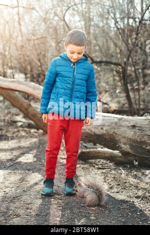 Cute kaukasischen Jungen Fütterung graues Eichhörnchen im Park. Entzückendes kleines Kind, das Futternüsse an wilde Tiere im Wald gibt. Kind lernen, die wilde Natur zu studieren Stockfoto