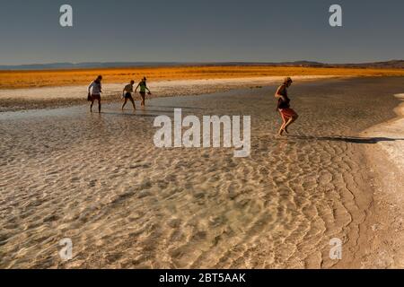 Touristen besuchen die Lagune von Cejar, in der Nähe von San Pedro de Atacama Stockfoto