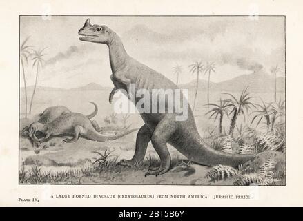 Ein großer gehörnter Dinosaurier, Ceratosaurus nasicornis, Nordamerika, Jurassic Periode. Druck nach einer Illustration von Joseph Smit von Henry Neville Hutchinson Creatures of Other Days, Popular Studies in Paleontology, Chapman and Hall, London, 1896. Stockfoto