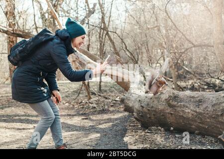 Kaukasische Frau Foto von Eichhörnchen im Park. Tourist Traveler Mädchen Schnappschüsse Smartphone-Fotos von wilden Tieren im Wald. Spaß im Freien Stockfoto