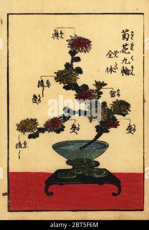 Leitfaden zu den Wortschatz der japanischen Blumenarrangierens, Ikebana. Papierkörbe Holzschnitt Kupferstich hanga aus einem Buch des Shinshintei Schule des Ikebana, 1835. Stockfoto