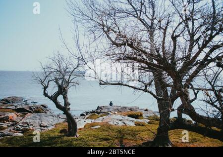 Ein einsamer Mann, der über Felsen in einem ruhigen und friedlichen Blick über Rio de La Plata in der historischen Stätte von Colonia del Sacramento sitzt. Stockfoto