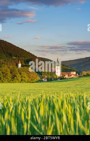 Heiligenkreuz: Stift Heiligenkreuz, Gipfel großer Bodenberg (links), in Wienerwald, Wienerwald, Niederösterreich, Niederösterreich, Österreich Stockfoto