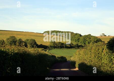 Landstraße ohne Verkehr mit den North Downs im Hintergrund von East Brabourne bei Ashford in Kent, England Stockfoto