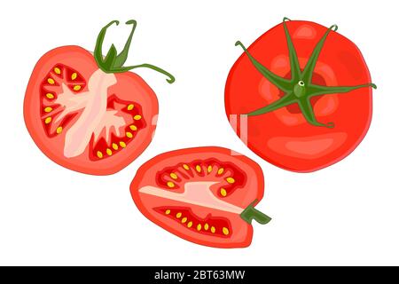 Tomatenscheibe auf weißem Hintergrund isoliert gesetzt. Vegetarische, vegetarische, vegane gesunde Ernährung. Ganze, in Scheiben geschnitten, Viertel, die Hälfte einer Tomatenfrucht. Stock-Vektor Stock Vektor