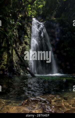 Spazieren Sie und entdecken Sie den Wasserfall prego salto auf der Insel sao miguel, azoren, Portugal. Stockfoto