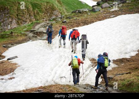 Rückansicht von Wanderern mit Rucksäcken und Wanderstöcken, die auf schneebedeckter Straße in den Bergen wandern. Gruppe von Touristen, die den Hügel klettern, während sie zusammen reisen. Konzept des Wanderns und Bergsteigens. Stockfoto
