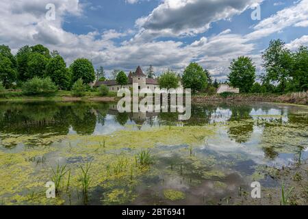 Schloss Waldeichs im Waldviertel im Frühling Stockfoto