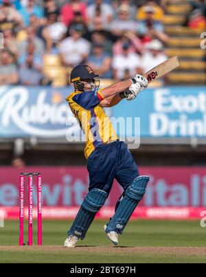 Tom Westley Batting für die Essex Eagles gegen Derbyshire Falcons in der Vitality Blast Finaltag 21 September 2019. Stockfoto