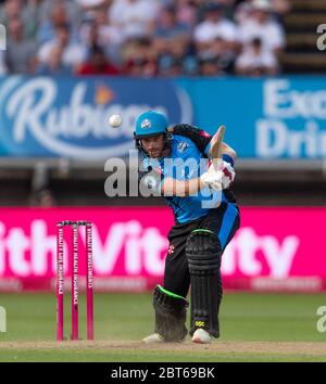 Riki Wessels im Finale der Vitality Blast am 21. September 2019 gegen die Essex Eagles um die Worcester Rapids Stockfoto